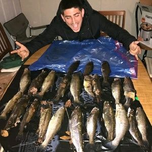 Meet your Posher, Jordan